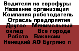 Водители на еврофуры › Название организации ­ Компания-работодатель › Отрасль предприятия ­ Другое › Минимальный оклад ­ 1 - Все города Работа » Вакансии   . Ненецкий АО,Бугрино п.